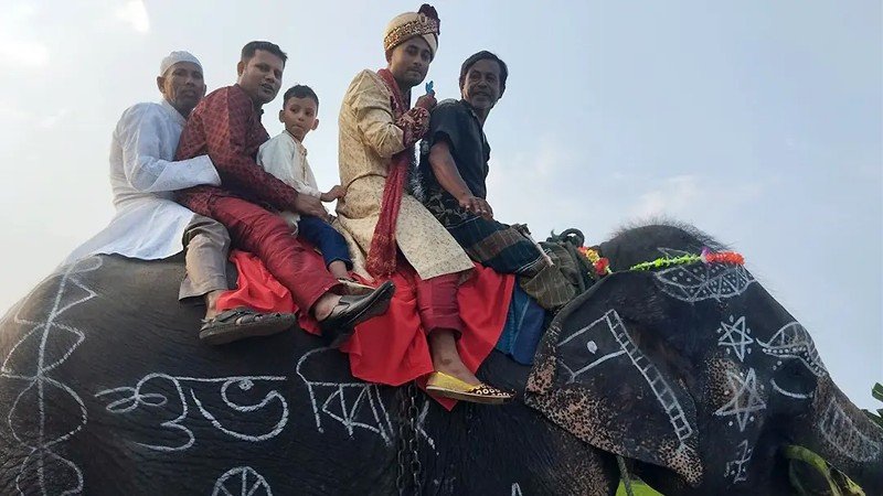 মায়ের শখ পূরণে হাতির পিঠে বর
