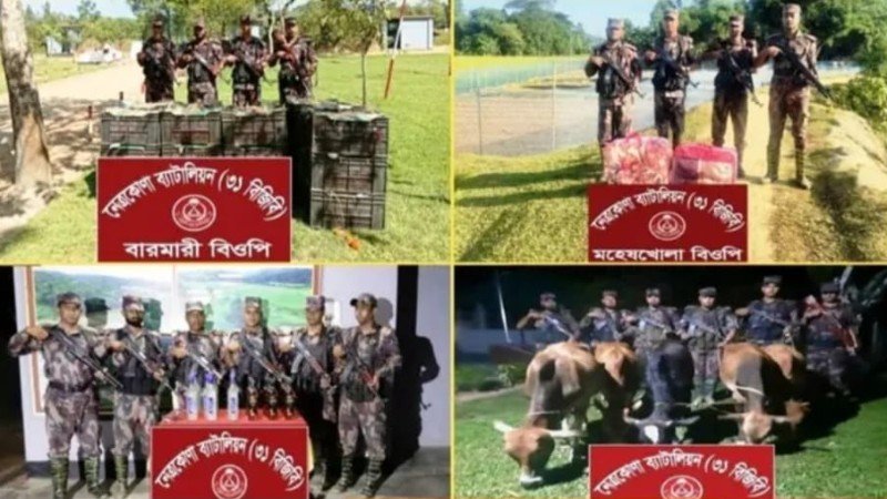 নেত্রকোনায় একদিনে সাড়ে ৫ লাখ টাকার ভারতীয় গরু, মদ ও টমেটো জব্দ
