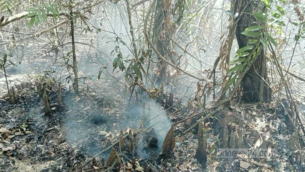 নিয়ন্ত্রণে সুন্দরবনের আগুন