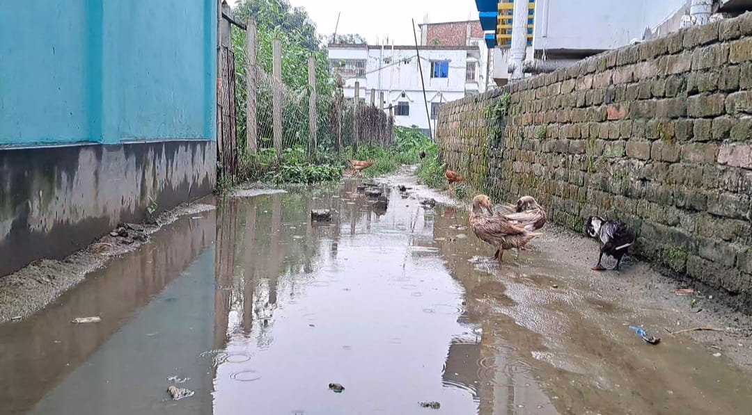 ১০ বছরেও পাকা হয়নী রাস্তা দূর্ভোগে ১শ পরিবার