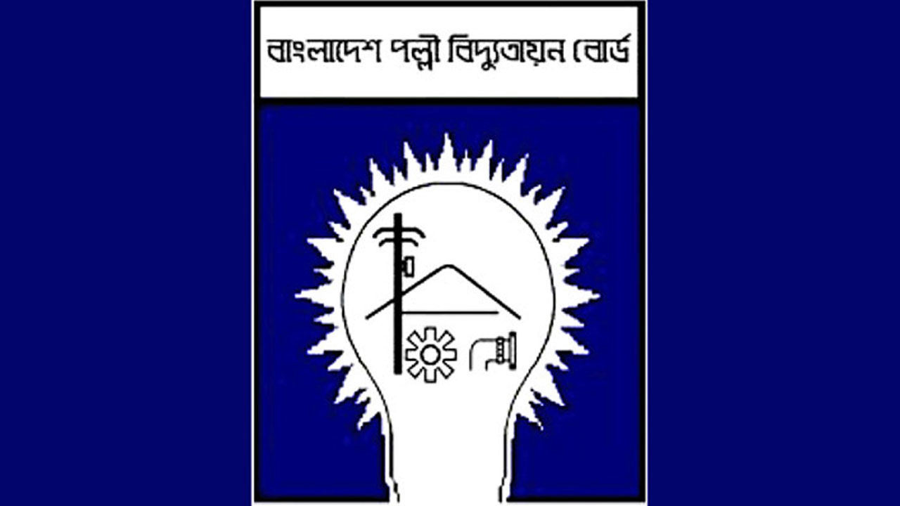 বিদ্যুৎ উপদেষ্টাকে স্মারকলিপি দিলেন পল্লী বিদ্যুৎ সমিতির কর্মীরা