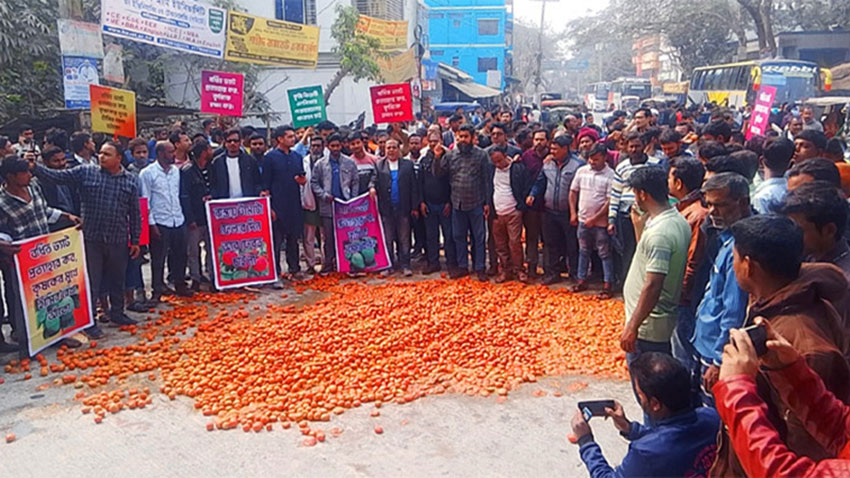 মহাসড়কে টমেটো ফেলে চাষিদের বিক্ষোভ
