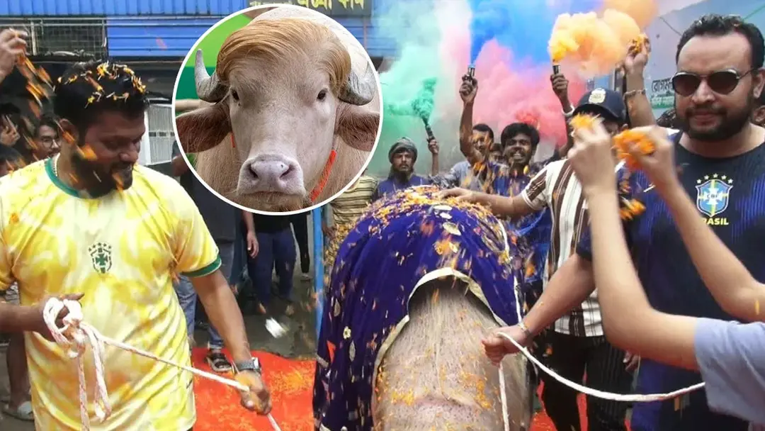 নারায়ণগঞ্জে ভাইরাল ‘ডোনাল্ড ট্রাম্প’কে লাল গালিচায় বিদায়